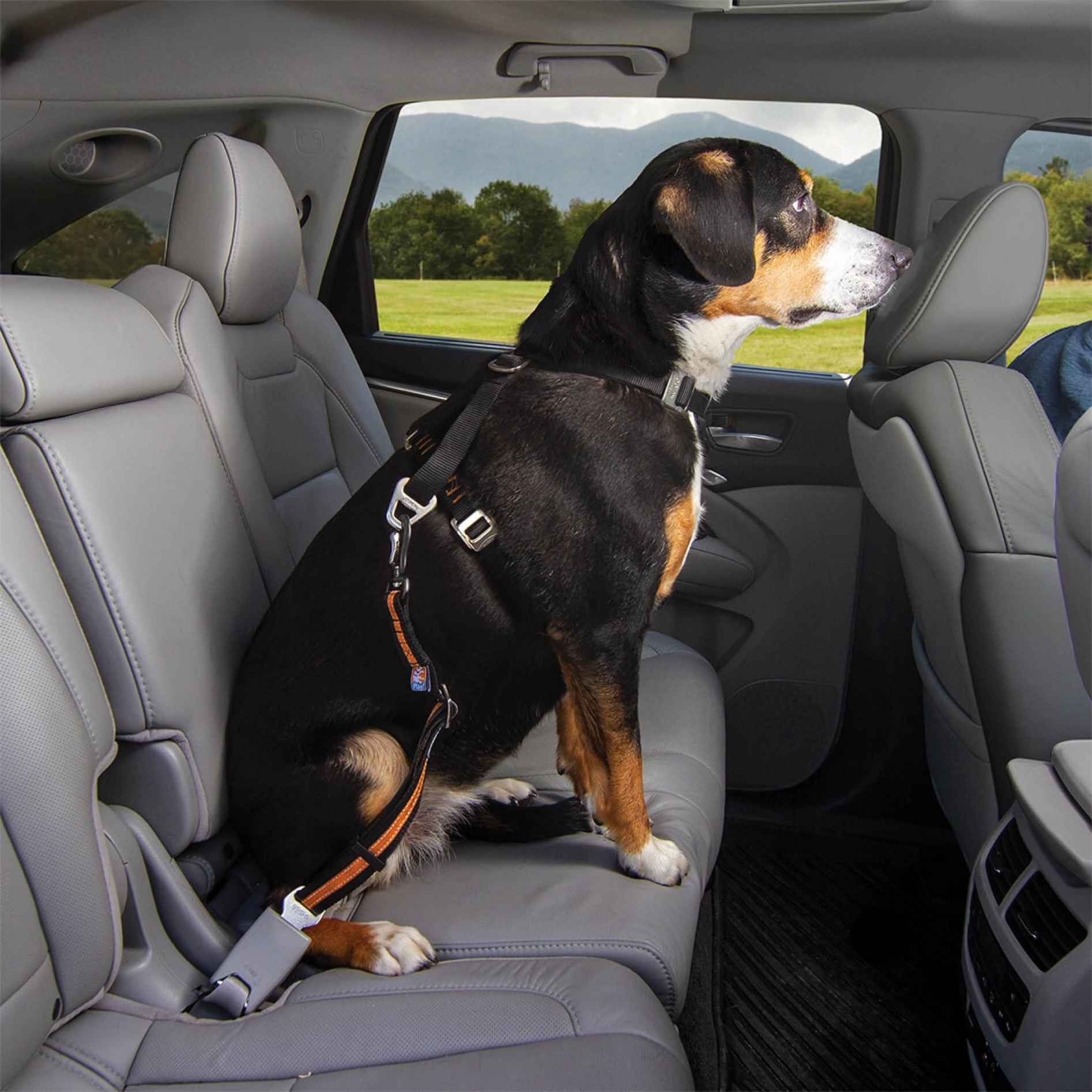 Kurgo Direct to Seatbelt Swivel Tether Orange